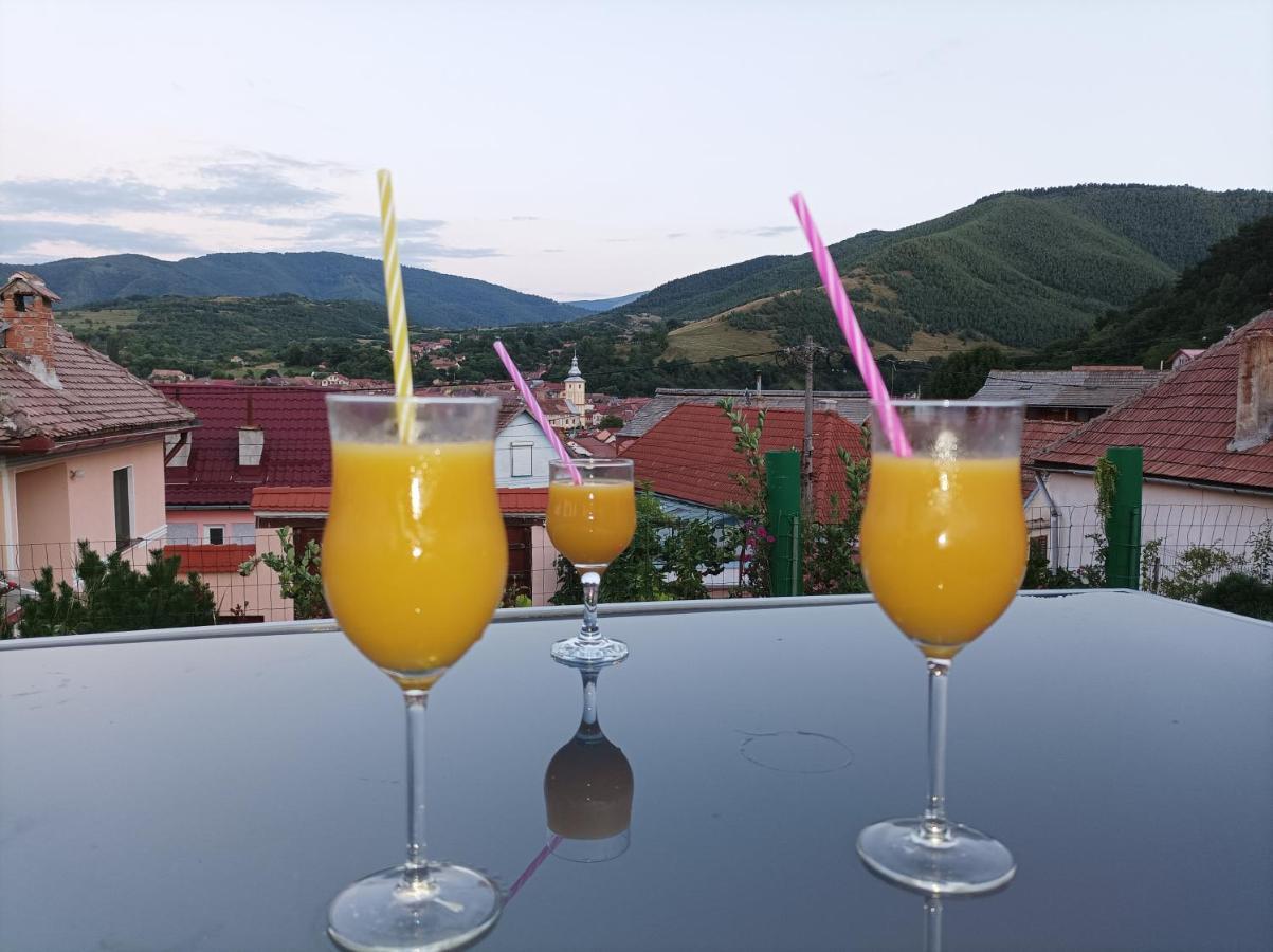 Apartament Panoramic La Casa In Comuna Răşinari Zewnętrze zdjęcie