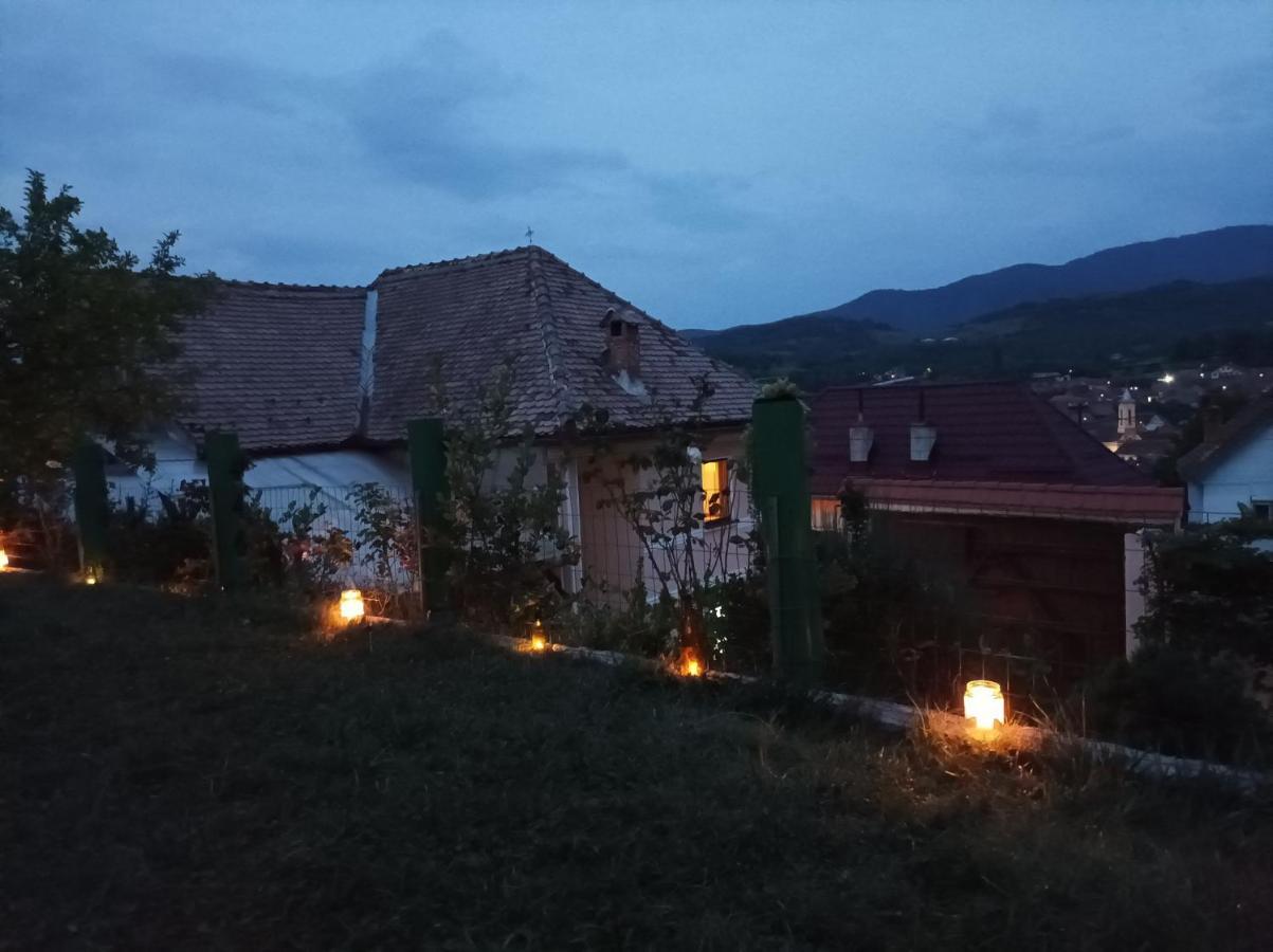 Apartament Panoramic La Casa In Comuna Răşinari Zewnętrze zdjęcie