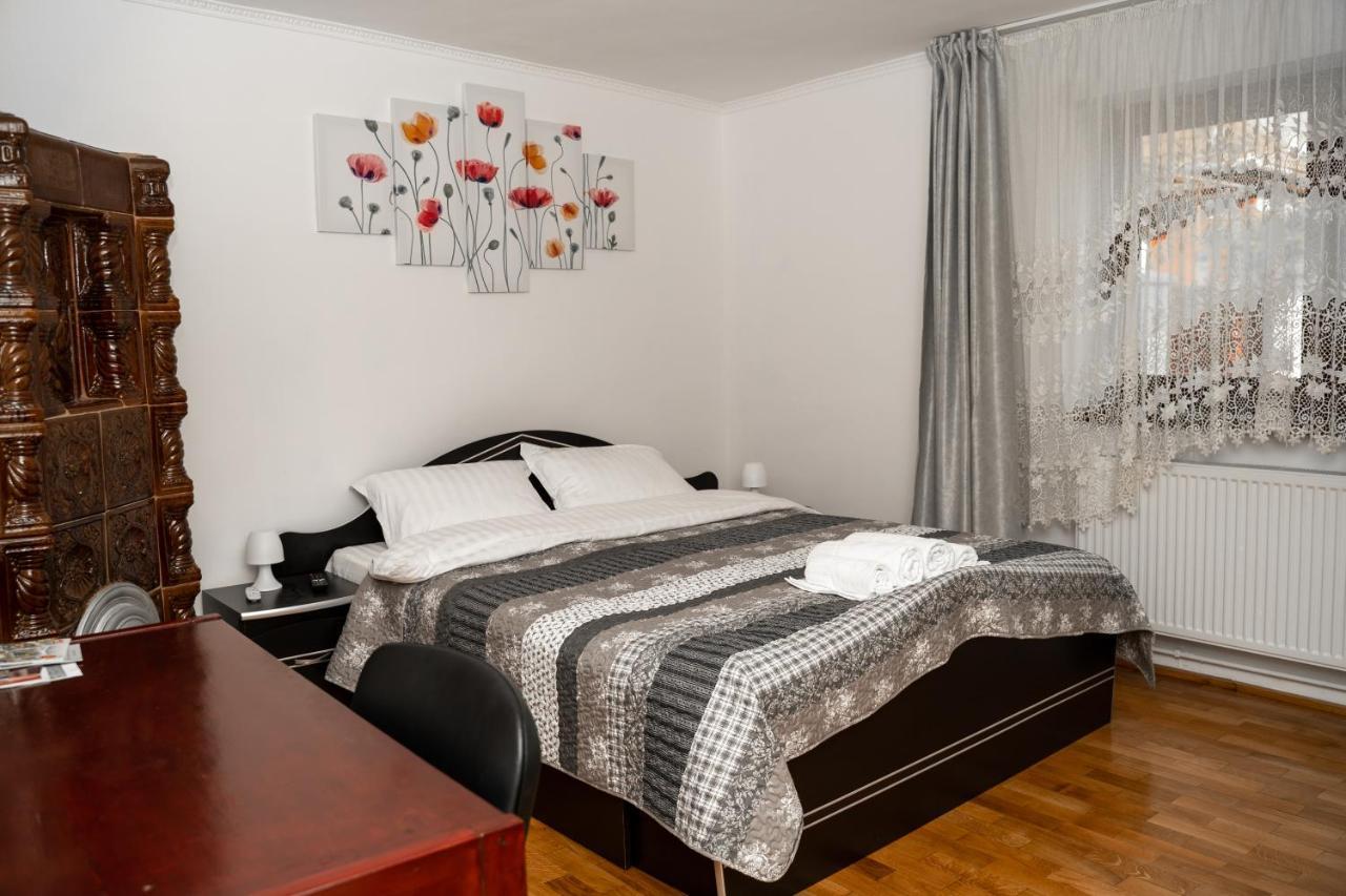 Apartament Panoramic La Casa In Comuna Răşinari Zewnętrze zdjęcie