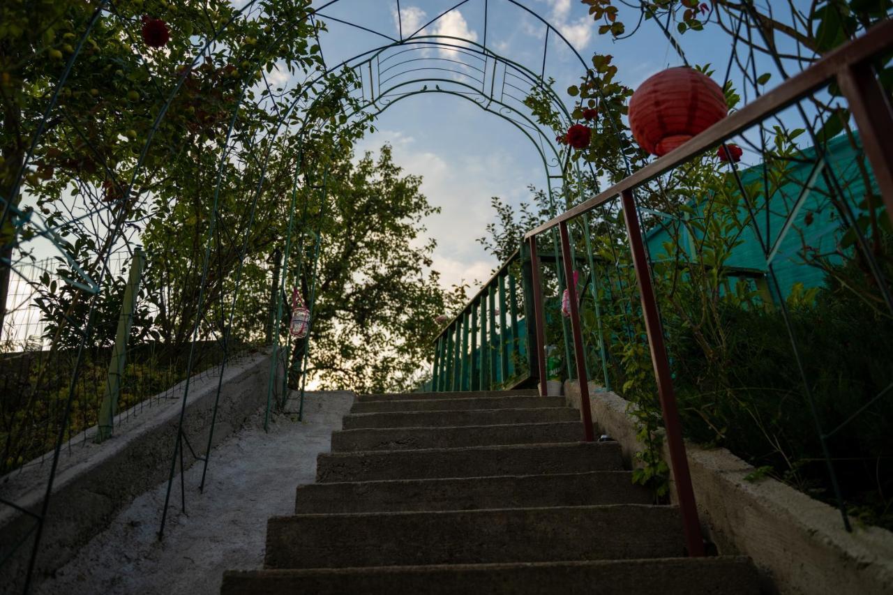 Apartament Panoramic La Casa In Comuna Răşinari Zewnętrze zdjęcie