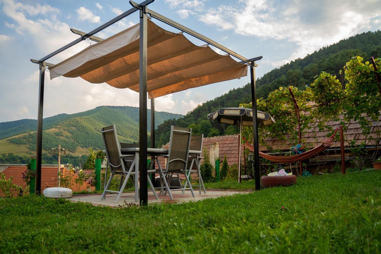 Apartament Panoramic La Casa In Comuna Răşinari Zewnętrze zdjęcie