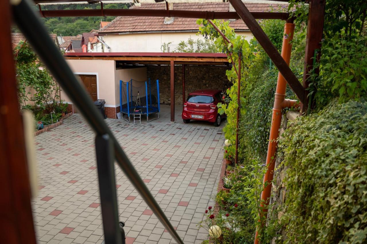 Apartament Panoramic La Casa In Comuna Răşinari Zewnętrze zdjęcie