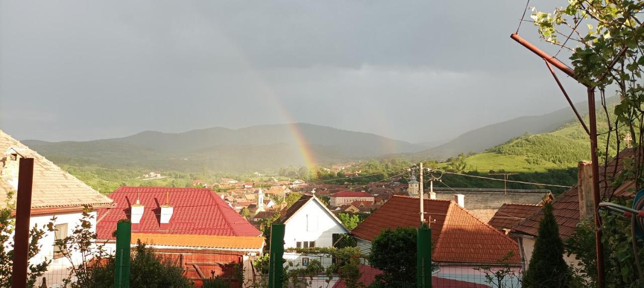Apartament Panoramic La Casa In Comuna Răşinari Zewnętrze zdjęcie